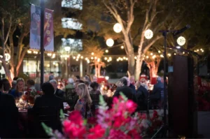 ustheartandsouldinner15